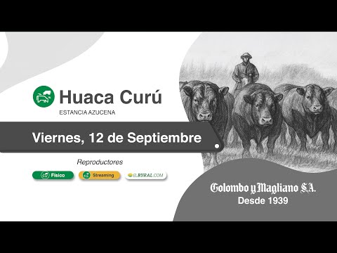 2025.09.12 Huaca Curú