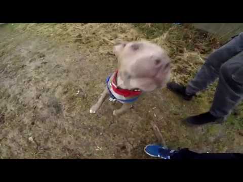 11. N3F - RICHILICZI  (klipon)