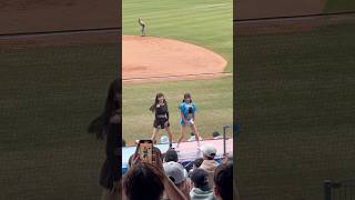 【TeamTaiwan】 #沛沛 #卡洛琳 #賴可 #米亞 #小螞蟻 #gostronger #冬季@洲際棒球場 20241208 #台湾チア #cheerdance #teamtaiwan #啦啦隊