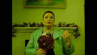 Lights! Camera! Oh My Stars! -- Life with Kat & McKay -- Ep. 15