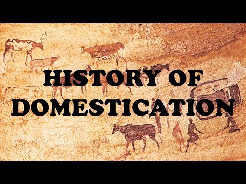 History Of Domestication