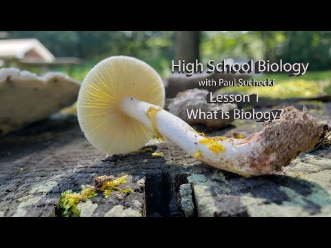 Biology 1 Lesson 1 What Is Life