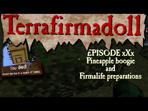 Terrafirmadoll S2 - 030 - Pineapple boogie and firmalife preparations