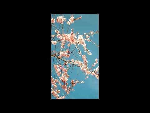 [free] *sad* skele type beat "places" | prod. afterlife