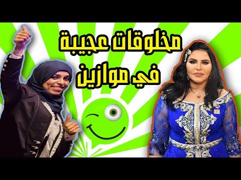 وافو - wavo | الحلقة Episode 5 –  ظهور مخلوقات عجيبة في موازين