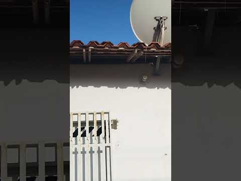 arari Maranhão
