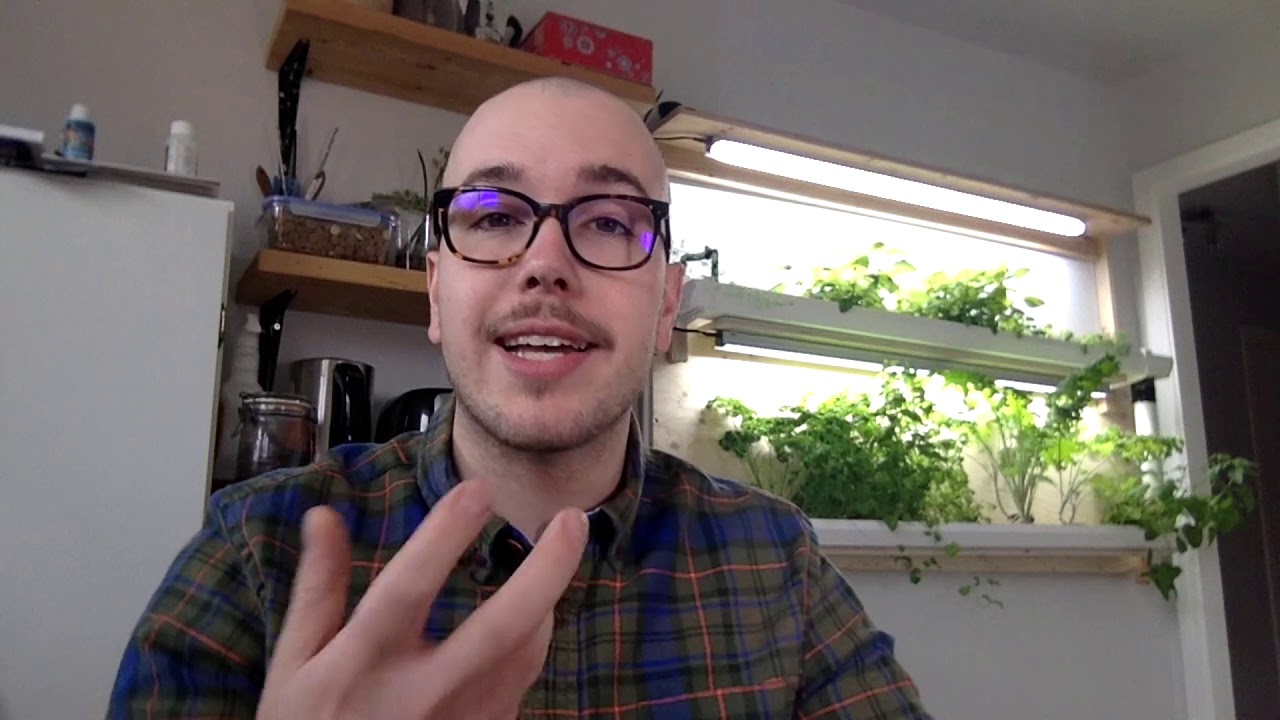 Le potager hydroponique - Alexandre Bouchard, Viréo