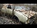 Junk Yard Finds Special A forgotten Jun