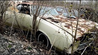 Junk Yard Finds Special: A forgotten Junk Yard