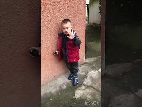 Kanga E Lionit Vogel