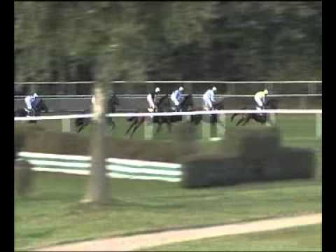 Veľká októbrová cena - My Old Husband