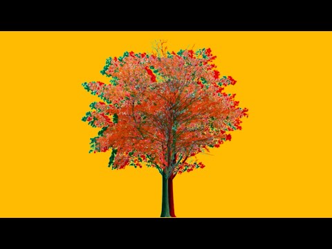 Majmunska Posla - Jesen