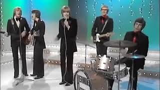 Herman&#39;s Hermits   There&#39;s A Kind Of Hush 1967 HD