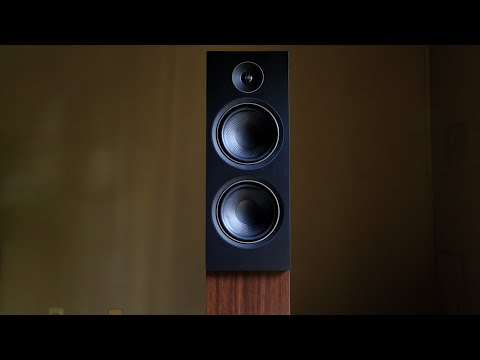 Review! The PSB Alpha T20 Floorstanding Loudspeaker!