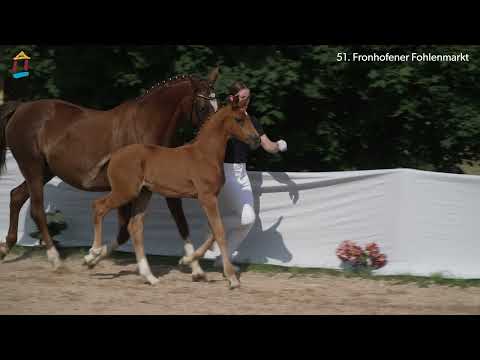 KNR 29 - Miss Moneypenny SF v. Morricone-Dacaprio