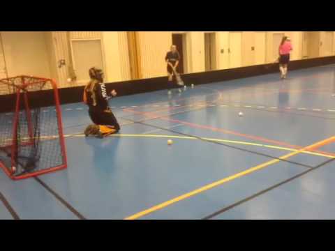 Målvaktsträning med DIF DJ www.innebandymalvakt.se