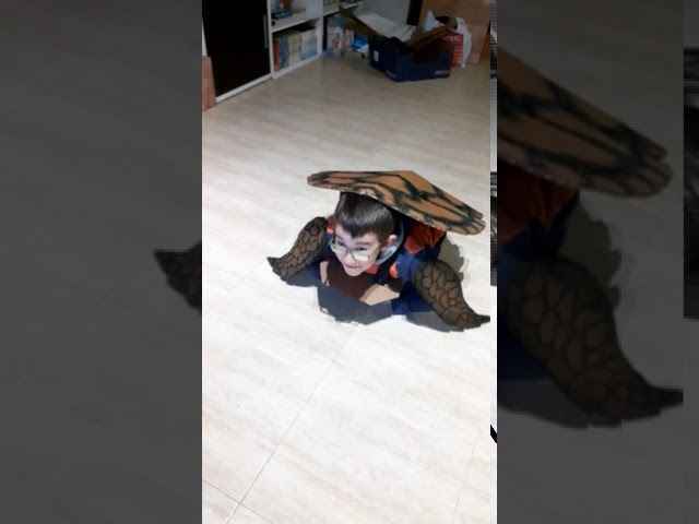 Vídeo relacionado con ZZ DISFRAZZES | Disfraz de Maestro Tortuga para hombre (S)