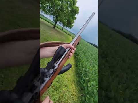 Ruger 10/22 LR Model 1102@MikesFLHomestead