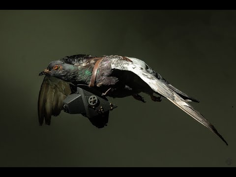 Spies and Spymasters - Animal Spies (feat. Hannah Saloio and Vince Houghton)