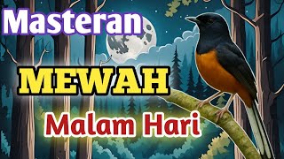 Download lagu MASTERAN MEWAH MURAI BATU BONGKAR ISIAN  TERBAIK SEPANJANG MASA100% AMPUH BIKIN LAWAN KOCAR KACIR mp3 Download lagu MASTERAN MEWAH MURAI BATU BONGKAR ISIAN  TERBAIK SEPANJANG MASA100% AMPUH BIKIN LAWAN KOCAR KACIR mp3