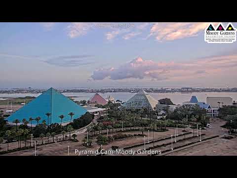 Moody Gardens Pyramid Cam LIVE | Galveston, Texas