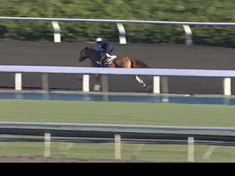 EVITA ARGENTINA WORKOUT 11 01