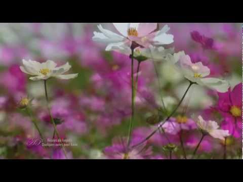 ✿❤✿ Romantic guitar: NICOLAS DE ANGELIS - Quelques Notes Pour Anna