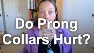 Why Does a Prong Collar "Work"? Let's Test! 1 of 2 | Grisha Stewart