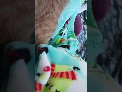 Mary Kathy's and fur baby