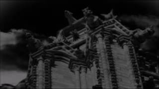 BLUTENGEL   versweiflung