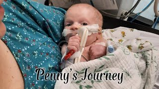 Penny Nickels Heart Surgery