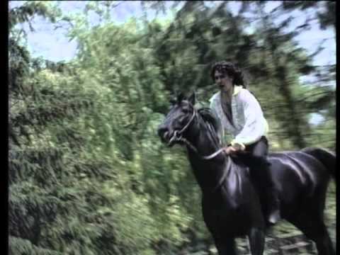 Bojan Milanovic - CIGANSKA JE KRV KO VATRA.mp4