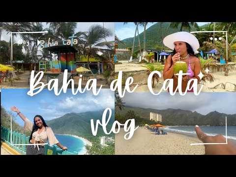 BAHÍA DE CATA 2026: Guía Completa de Precios, Ruta y Consejos