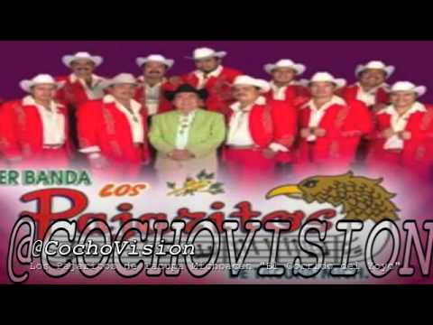 La Super Banda Los Pajaritos de Tacupa Michoacan 