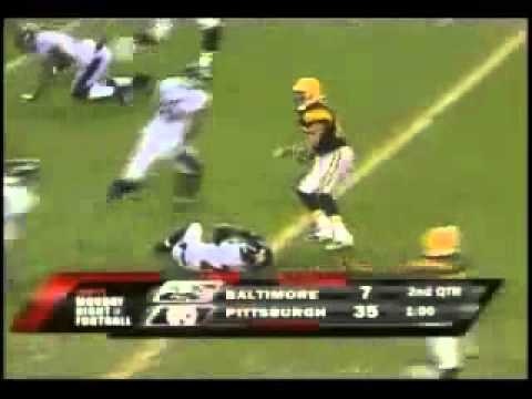 Hines Ward Levels Ed Reed