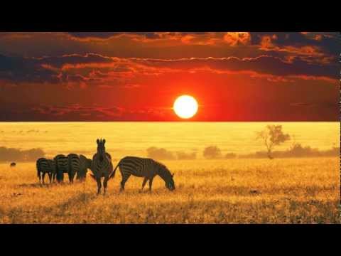Melissa Nkonda - Africa (Dj Angelo Remix)