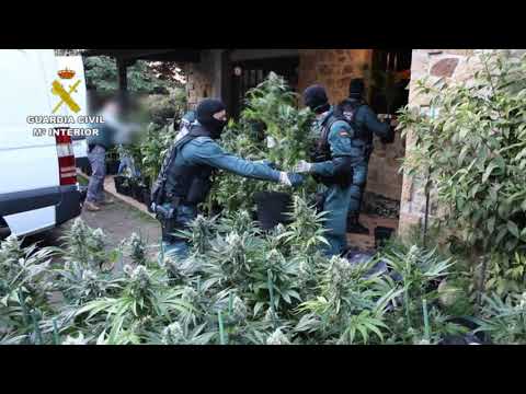 Desarticulado en Cantabria y País Vasco un grupo criminal dedicado al tráfico de speed