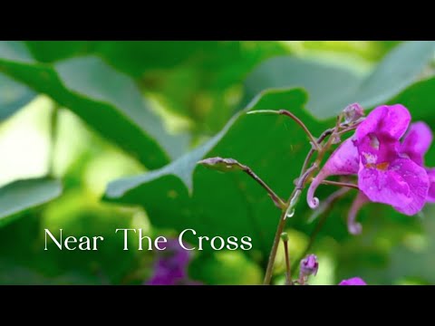 312 SDA Hymn - Near The Cross (Singing w/ Lyrics)