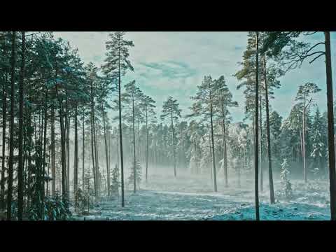 Iwona Pietrala & Grzegorz Bartkowiak - W Twojej mocy (Official)