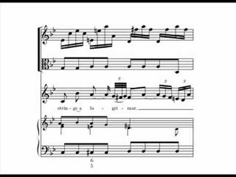 Vivaldi: Cessate, omai cessate, RV 684 (1/2) - Scholl