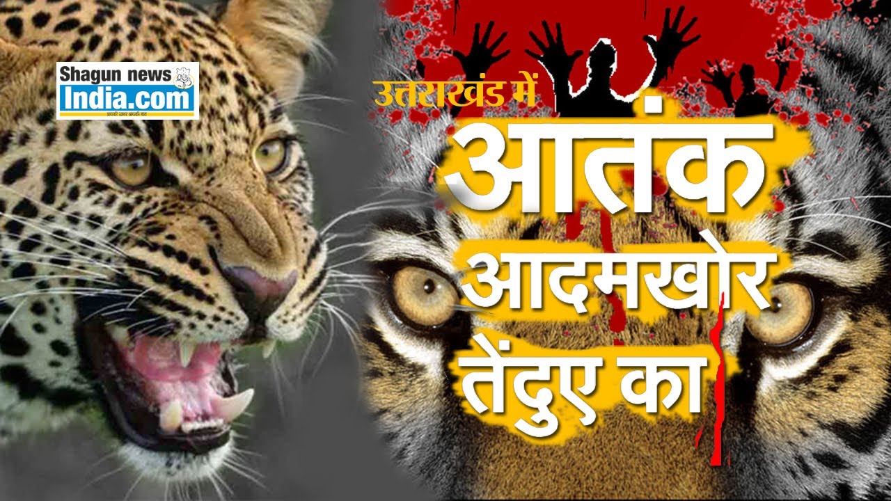 उत्तराखंड में आदमखोर का आतंक, पकड़ा गया आदमखोर तेंदुआ ...लेकिन खौफ अभी भी बरकरार