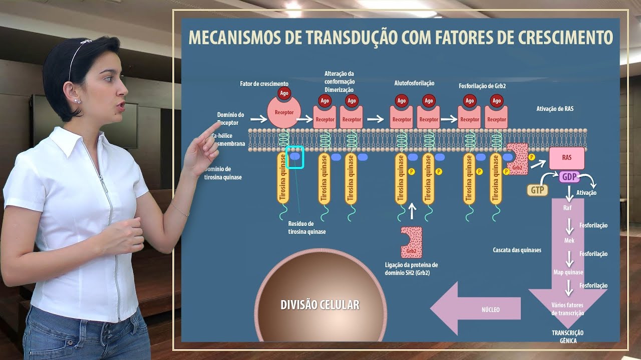 Farmacologia 04    Receptores de Quinase e Nucleares