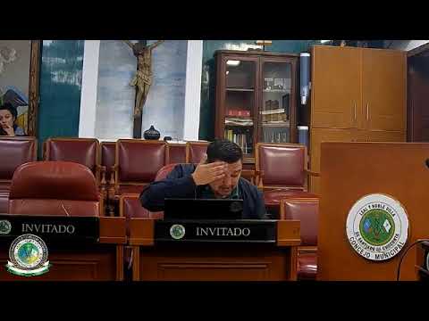 Sesion Plenaria extraordinaria  de fecha 28 de julio  de 2026