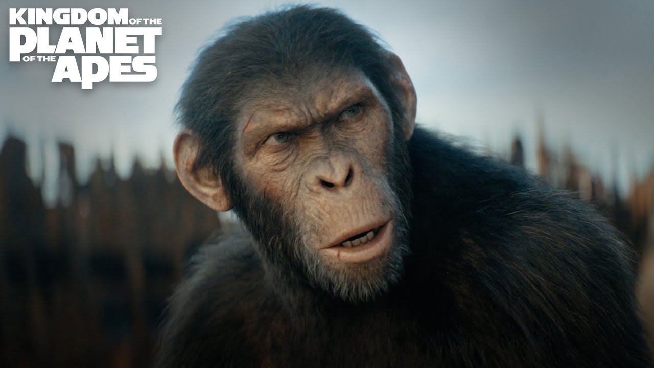Kingdom of the Planet of the Apes | Memorial Day