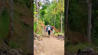 Download lagu Mapai jalan satapak Ngajugjug kahiji lembur mp3 Download lagu Mapai jalan satapak Ngajugjug kahiji lembur mp3