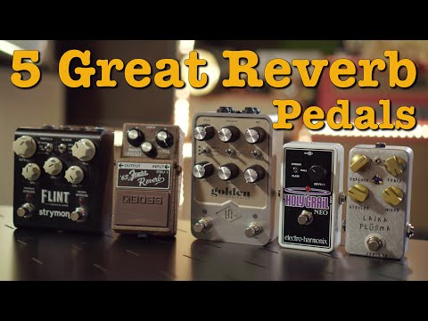 5 Great Reverb Pedals for Spring reverb effect - Doctor Guitar EP262