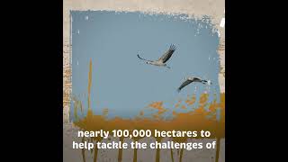 Download lagu 2022 highlights for Natural England mp3