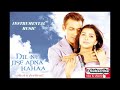 Dil Ne Jise Apna Kaha Instrumental Music Hindi Instrumental Music