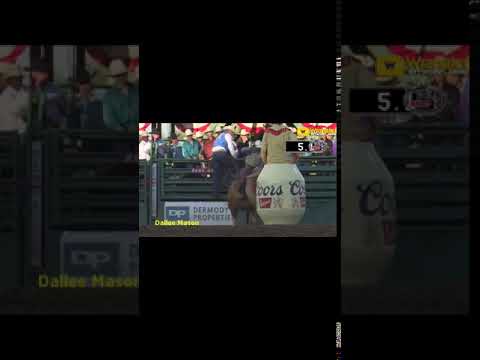 Powerstroke Reno 2019