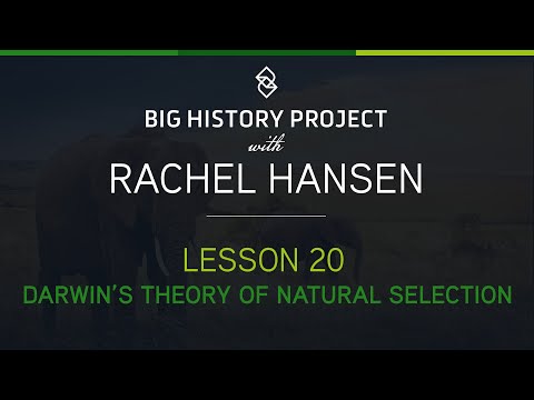 Lesson 20: Darwin’s Theory of Natural Selection | BHP with Rachel Hansen